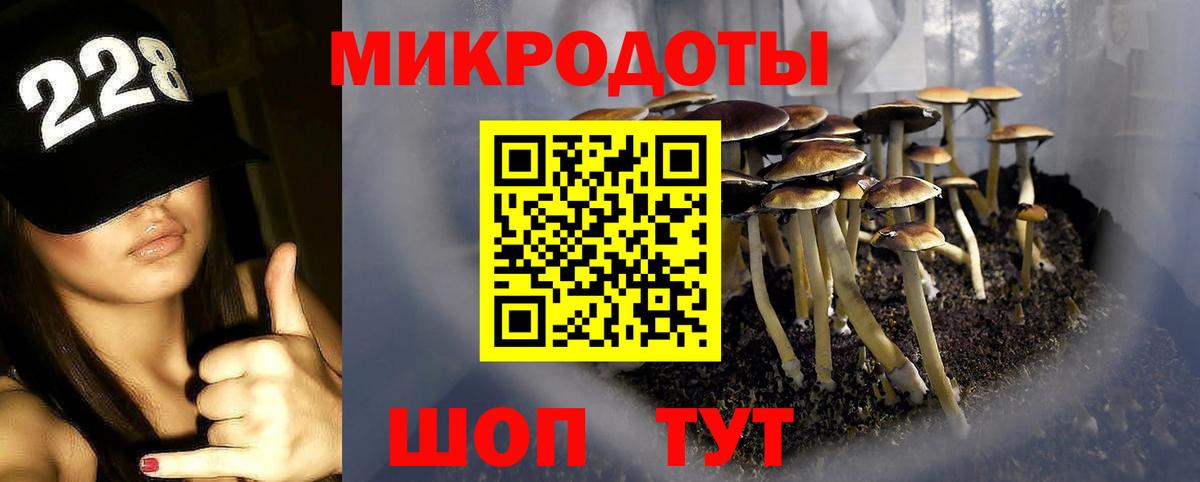 дарнет шоп  Вход с VPN  Галлюциногенные грибы Cubensis  Урюпинск  Псилоцибиновые грибы Psilocybe 